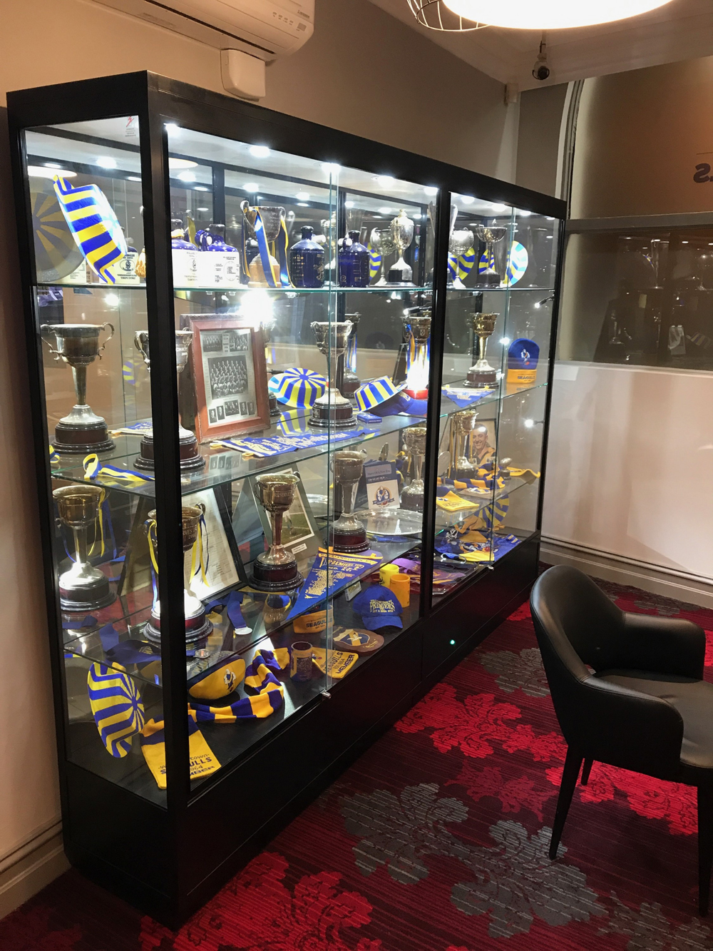 Celebrate your victories with a Showfront trophy display case customised to suit your style.